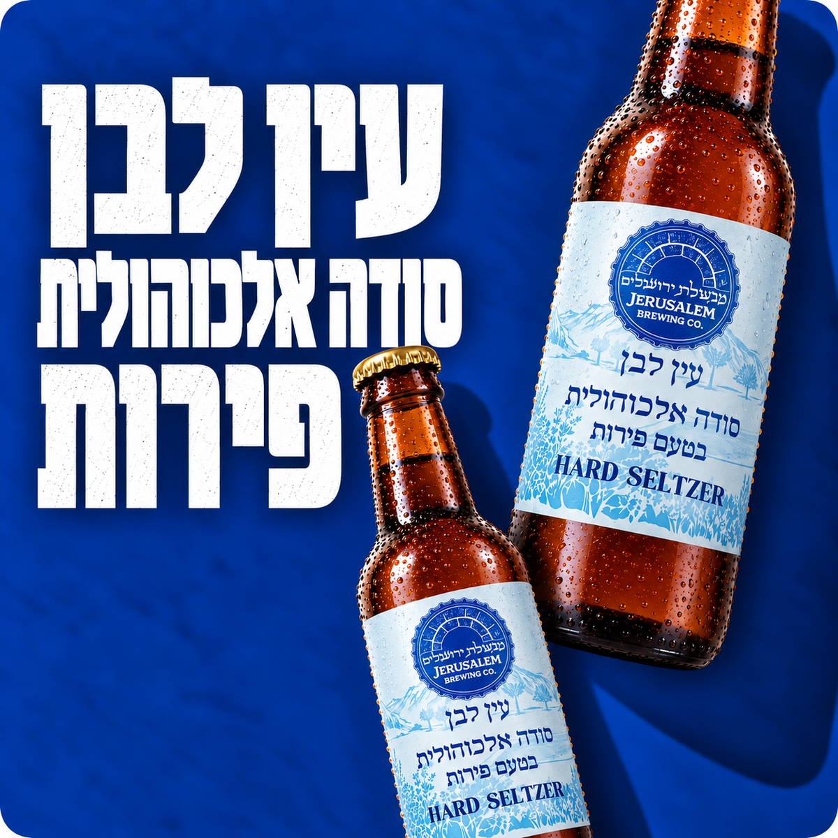 HARD SODA עין לבן סודה אלכוהולית בטעמי פירות